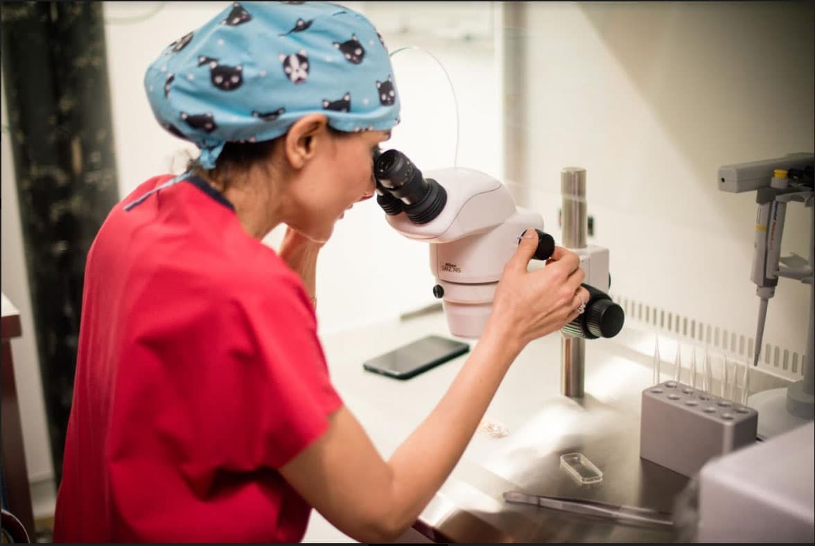 Kyrenia IVF Center — clinic photograph 22